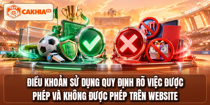 Điều khoản sử dụng quy định rõ việc được phép và không được phép trên website